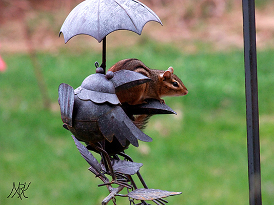 In Our Neighborhood/