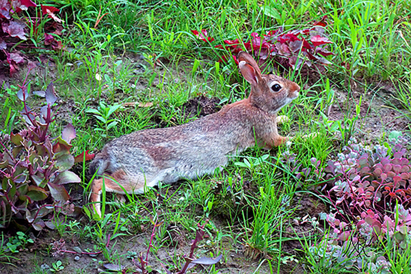 In Our Neighborhood/