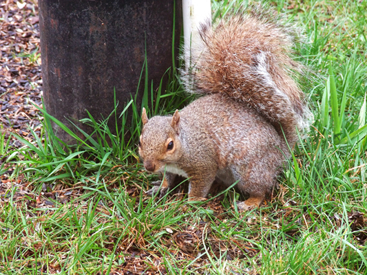 In Our Neighborhood/