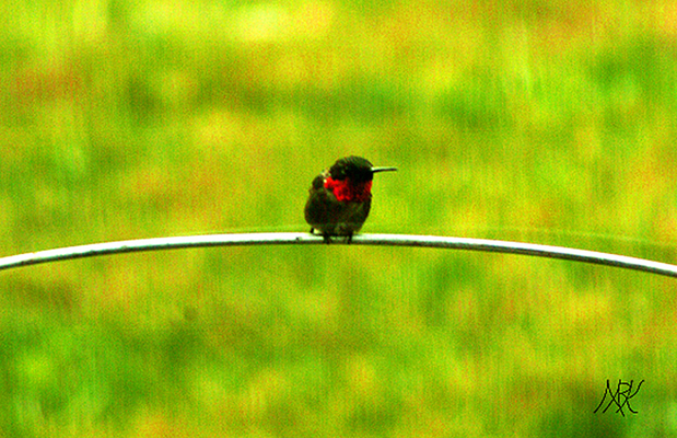 In Our Neighborhood/